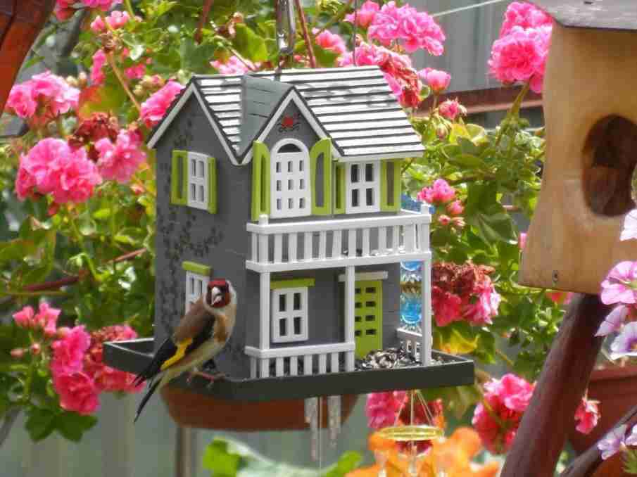 7 Beautiful Garden Decoration Ideas