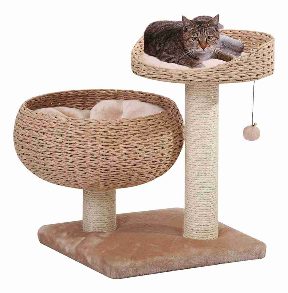 Let's Get Your Cat a Wooden Cat Tree