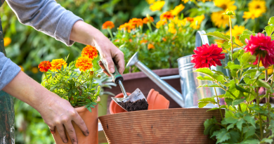 perennial flowers that bloom all summer perennials that bloom all summer, perennials for shade that bloom all summer, long blooming perennials