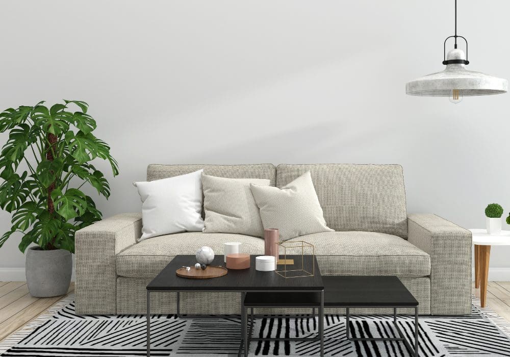 How to Arrange Plants in Living Room