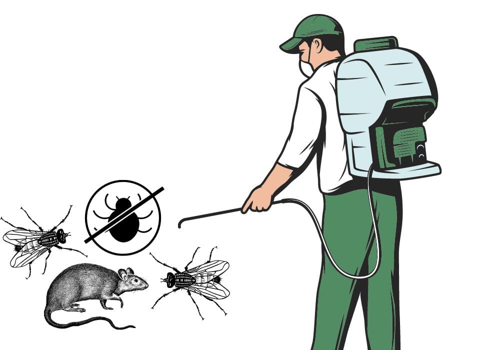 Pest Control Bristol UK 