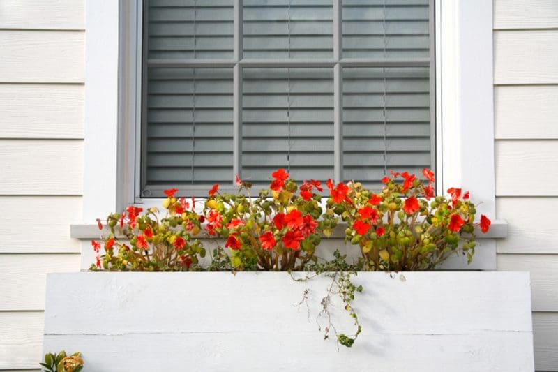 Flower boxes, window boxes, window flower boxes