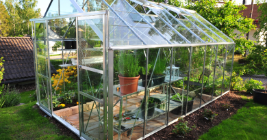 Greenhouse Buyer's Guide