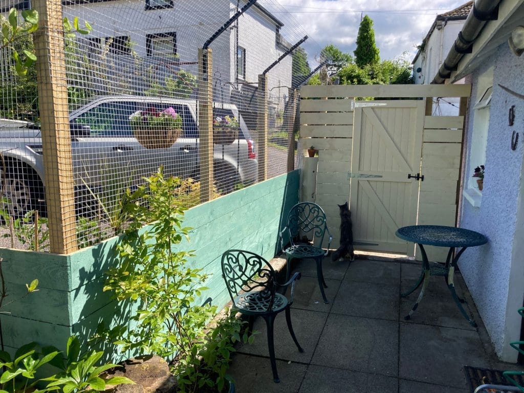 20 Fence Paint Color Ideas