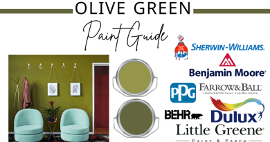 olive green paint (21, 10.3k) olive green paint color olive green color code (21, 3.8k) olive paint coloclfe dulux olive green 28+ Best Olive Green Paint Colors