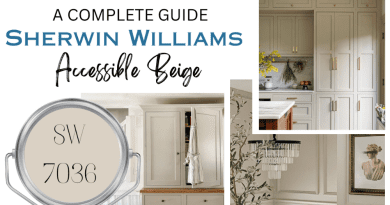 Accessible Beige Sherwin Williams SW7036 Review (With Real Photos)