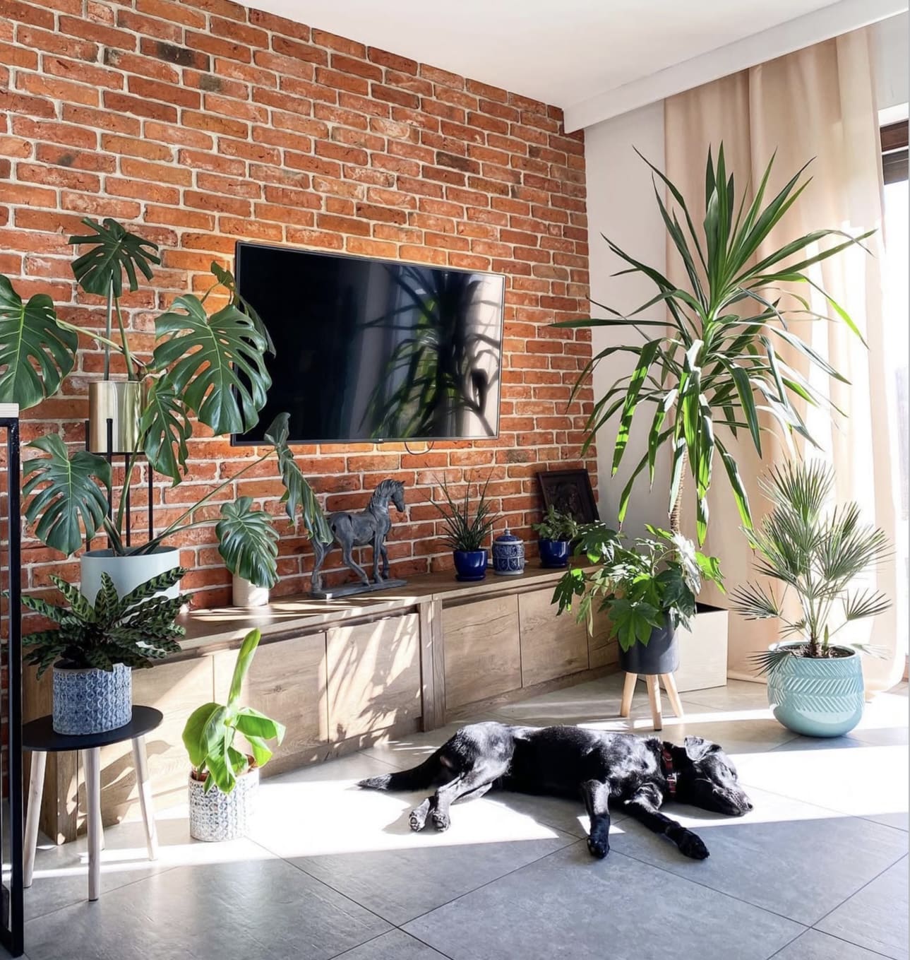 IMG 7831 TV Wall Decor Ideas