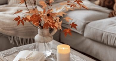 Best Fall Decor Ideas