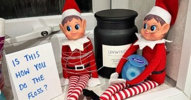 Genius Elf on the Shelf Ideas