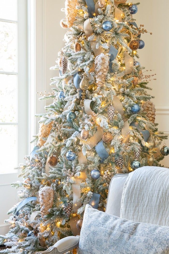 20 Best White and Blue Christmas Tree Decor Ideas 7 20 Best White and Blue Christmas Tree Decor Ideas Blue and White christmas treesIMG 9879 White and Blue Christmas Tree