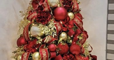 30 Stunning Christmas Tree Decor Ideas That You'll Love