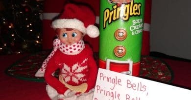 27 Quick and Easy Elf on the Shelf Ideas