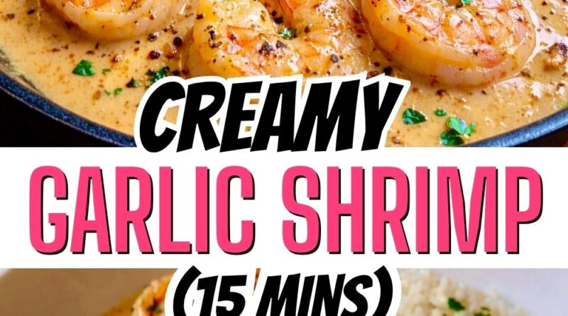 creamy garlic shrimp copy