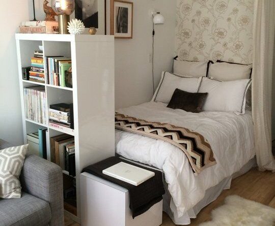 Small Studio Apartment Decor Idea