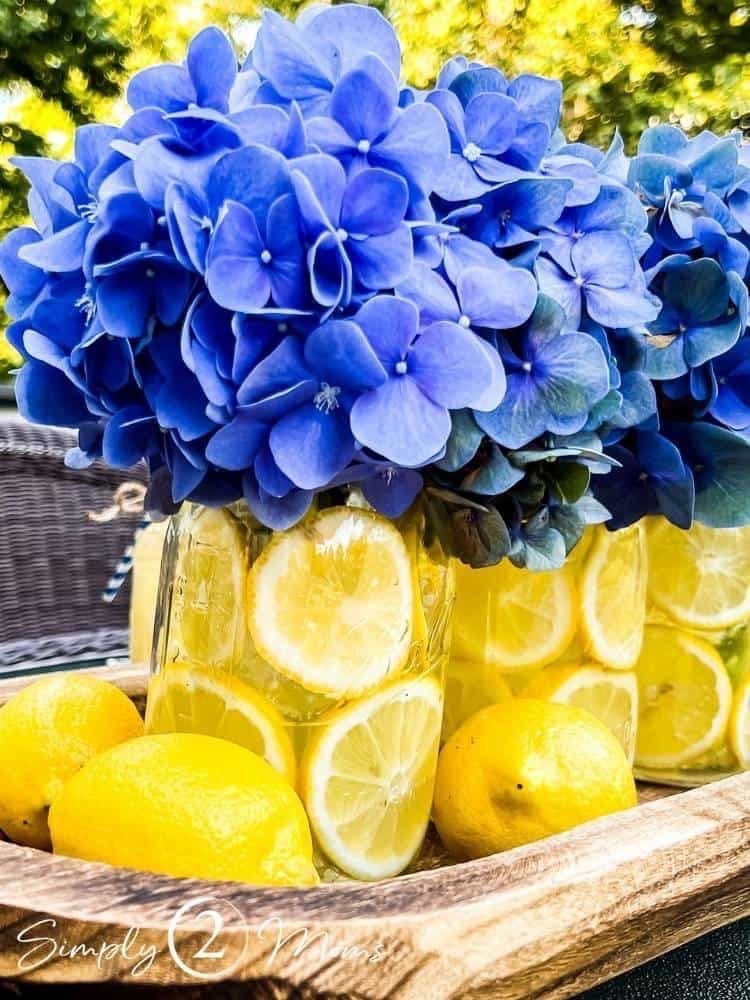 IMG 7387 Summer Decor Ideas