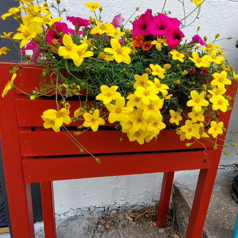 raised bed planter finished DIY Mother's Day Gift Ideas