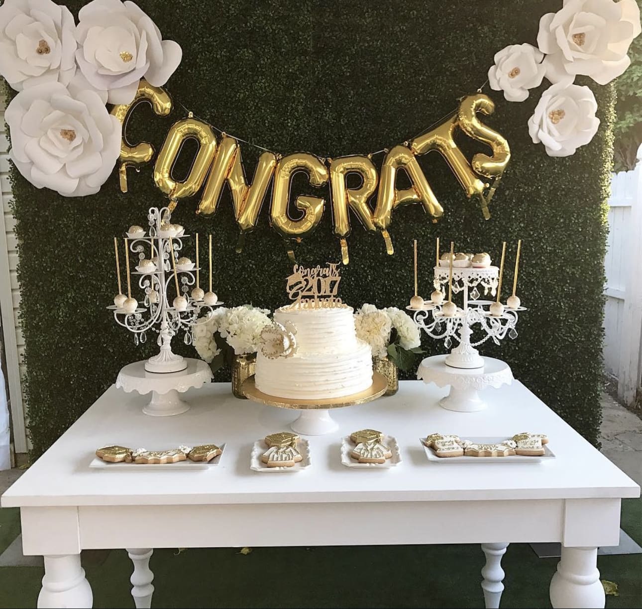 IMG 9072 Graduation Party Photo Backdrop Ideas