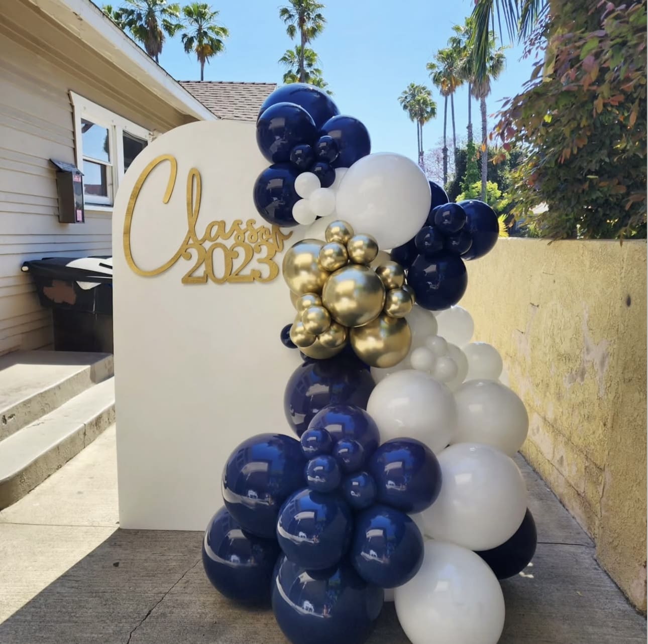 IMG 9084 Graduation Party Photo Backdrop Ideas