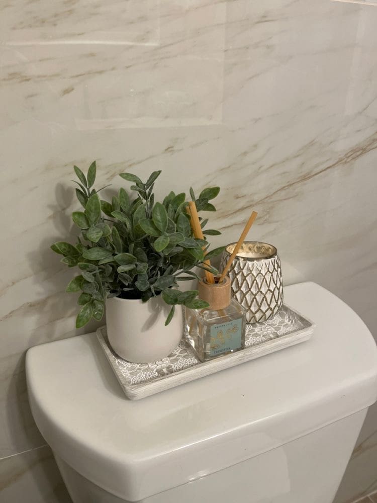IMG 3301 Top of Toilet Decor Ideas