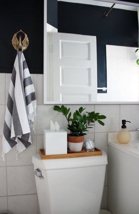 IMG 3305 Top of Toilet Decor Ideas