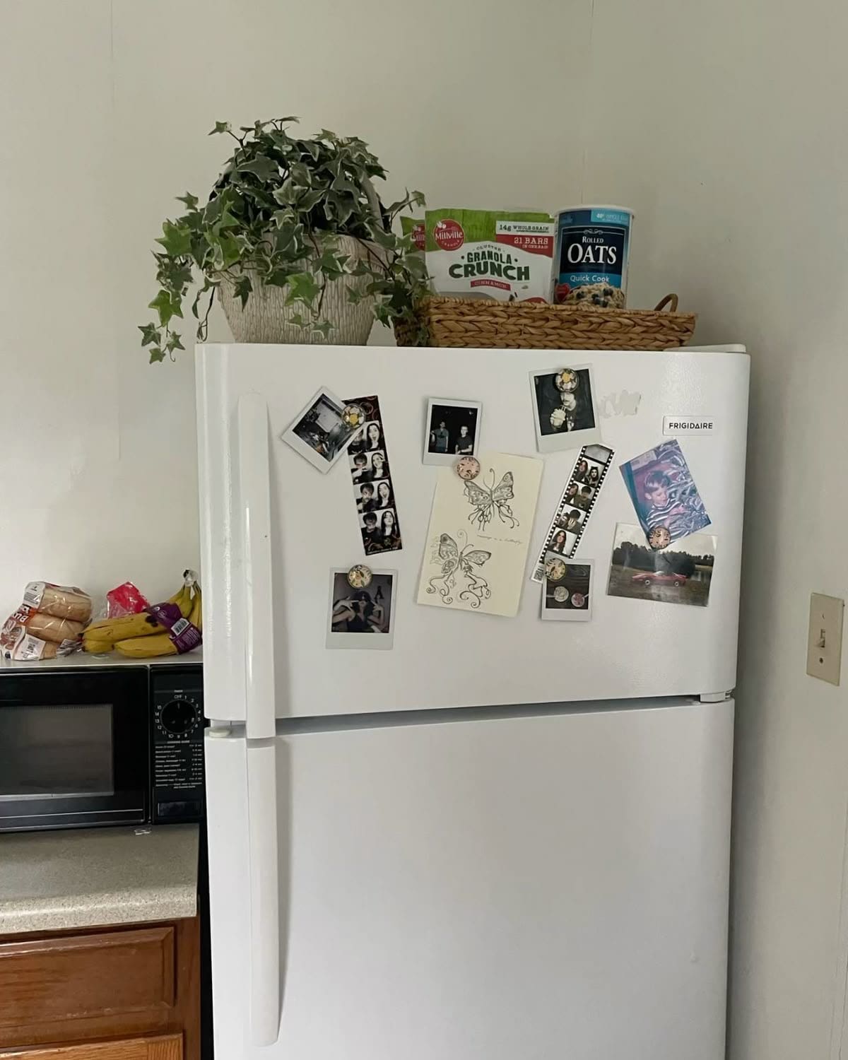 IMG 3267 Top of Fridge Decor Ideas