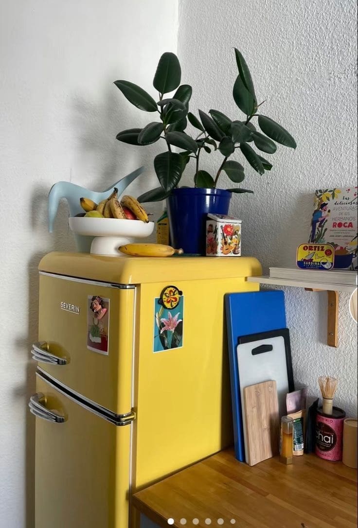IMG 3269 Top of Fridge Decor Ideas