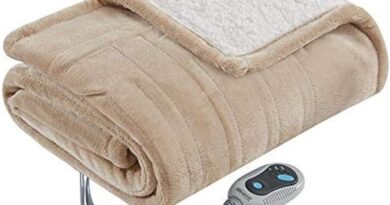 61anmgE4QyL. AC SX679 No-Bake Dessert Ideas