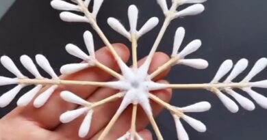 Winter Craft Ideas for Adults