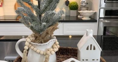 Winter Tray Decor Ideas