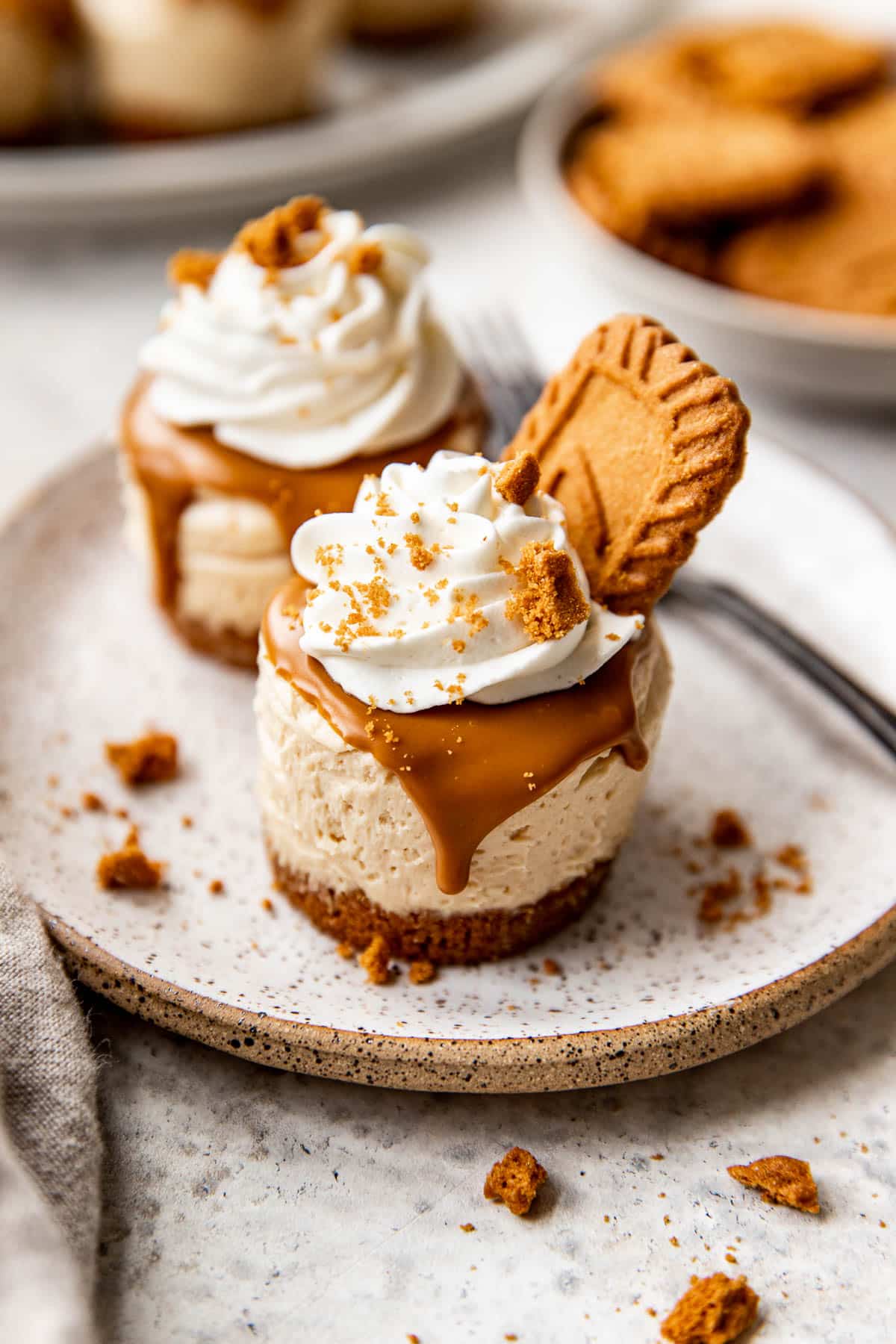 Biscoff Cheesecakes LowRes 021 No-Bake Dessert Ideas