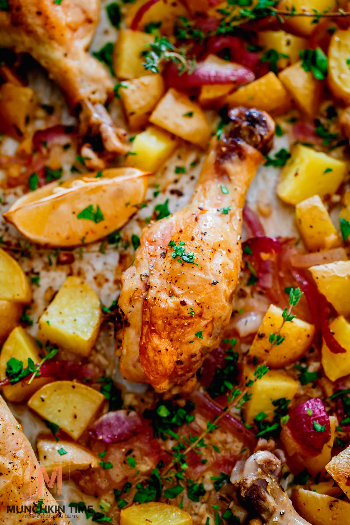 Oven Baked Chicken Drumsticks in Lemon Garlic Sauce 14