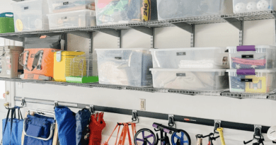 Screenshot 2025 12 21 at 19.57.09 Hardscape vs. Landscape