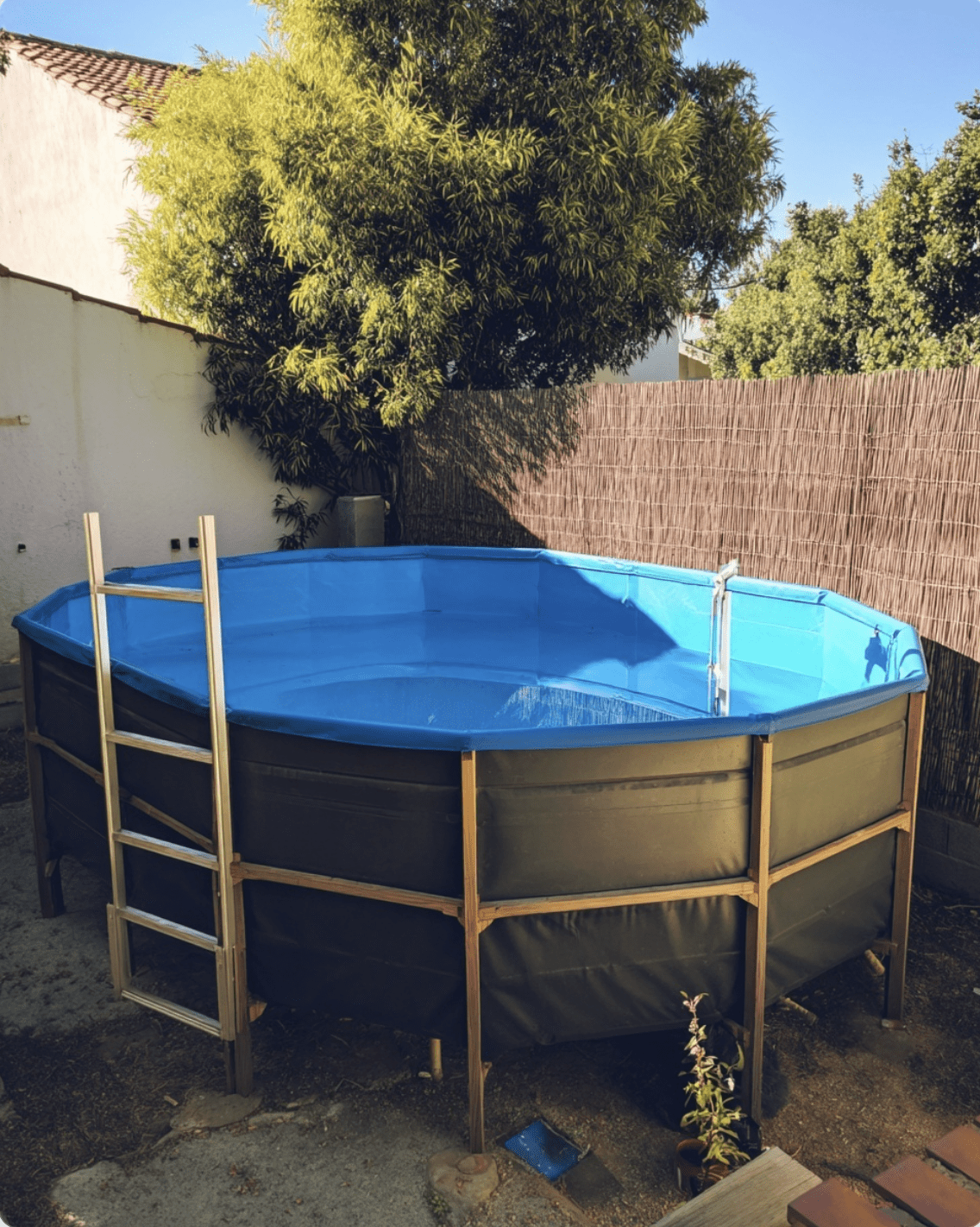 Screenshot 2026 04 29 at 09.56.43 Small Backyard Pools