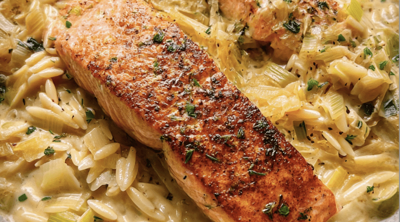 Creamy Salmon and Orzo