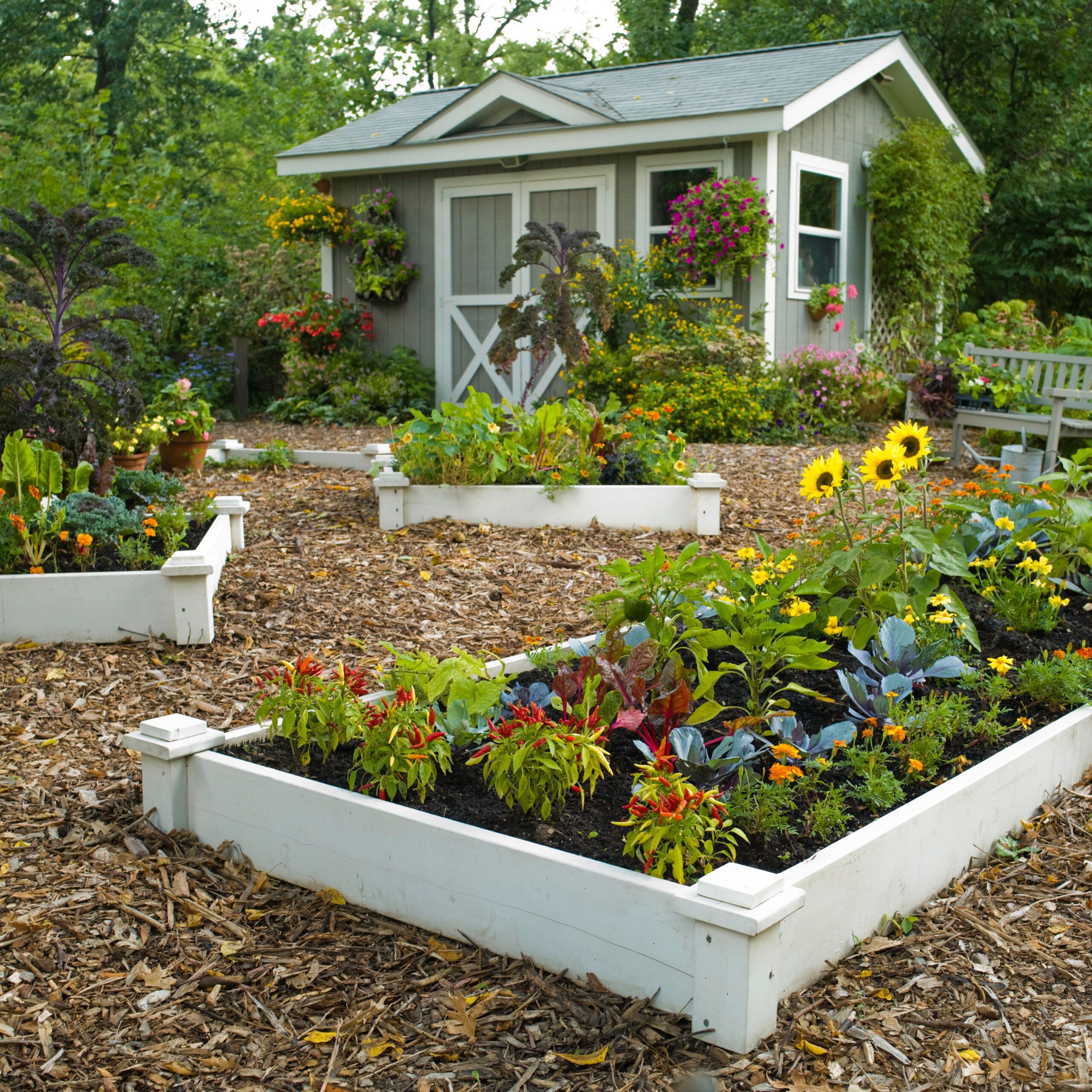 Raised Garden Bed IdeasCottage garden 101326745 BXCx5W6c47FBXLBj5exvDK c7180642c90f4418bc49751df92c3c45 scaled Raised Garden Beds