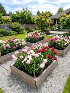 Raised Garden Bed IdeasIMG 1207 Raised Garden Beds