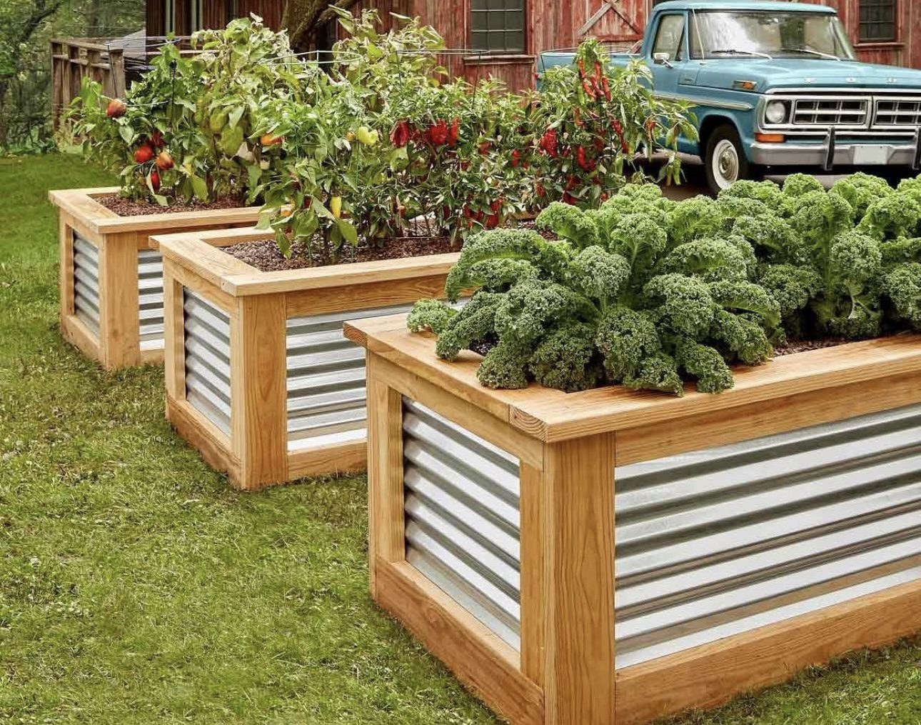 Raised Garden Bed IdeasIMG 1209 Raised Garden Beds