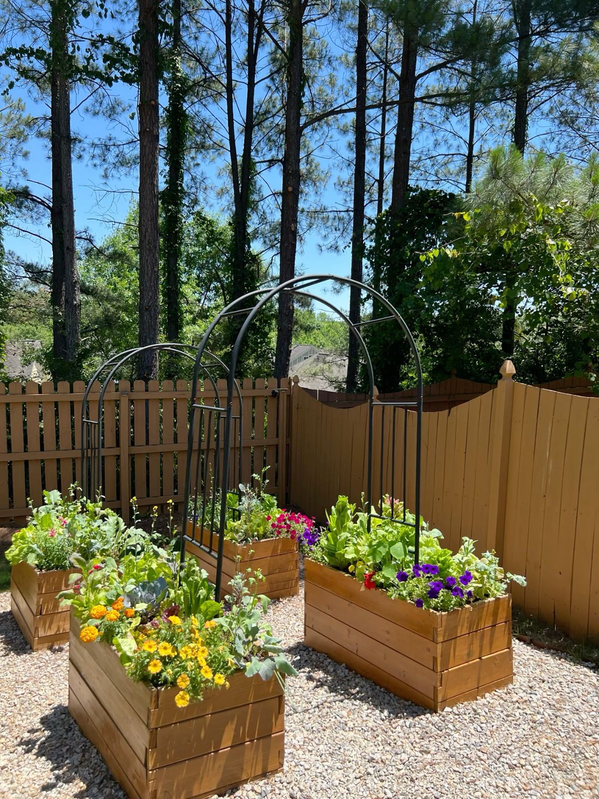 Raised Garden Bed IdeasIMG 1414 Raised Garden Beds