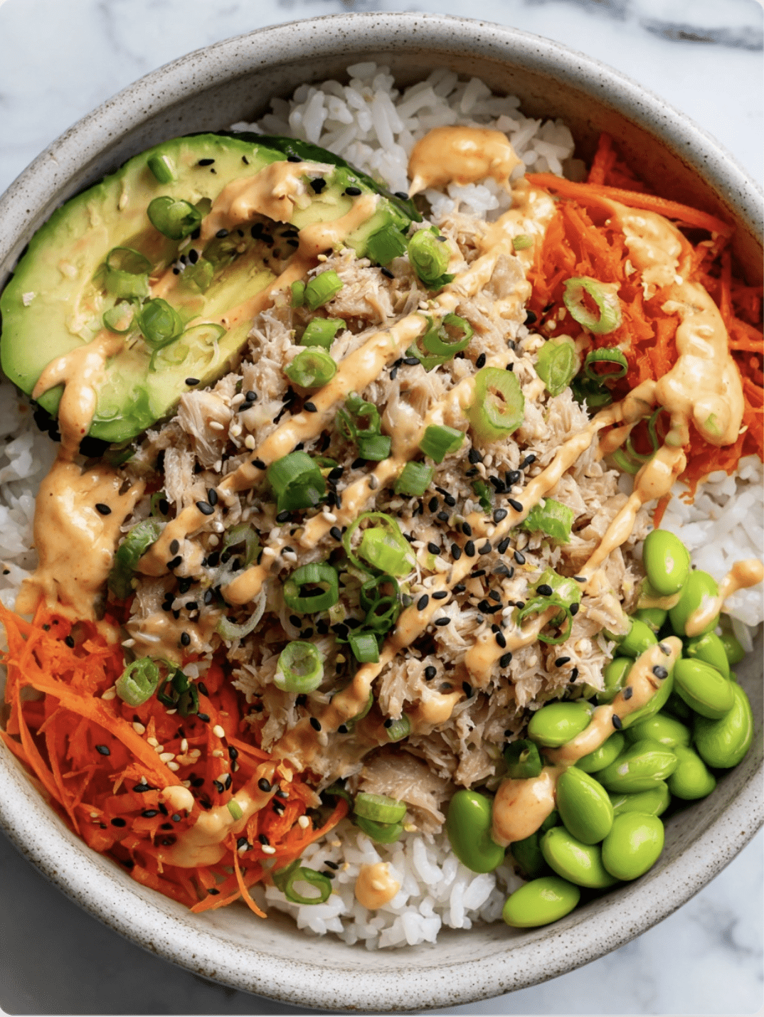 Spicy Tuna Rice Bowl 3 Spicy Tuna Rice Bowl Spicy Tuna Rice Bowl Spicy Tuna Rice Bowl
