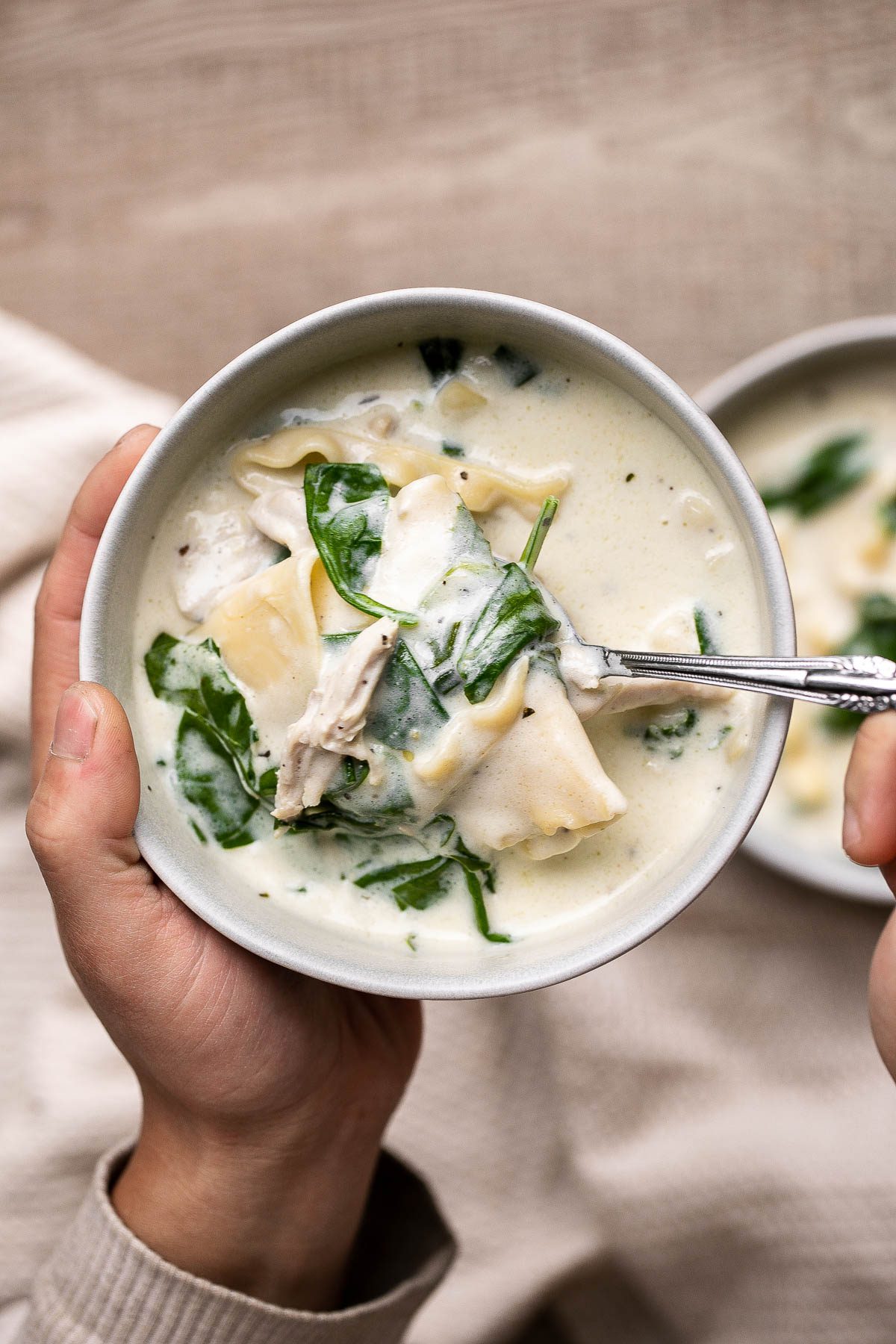 white chicken lasagna soup 7 1 Cozy Soup Recipes