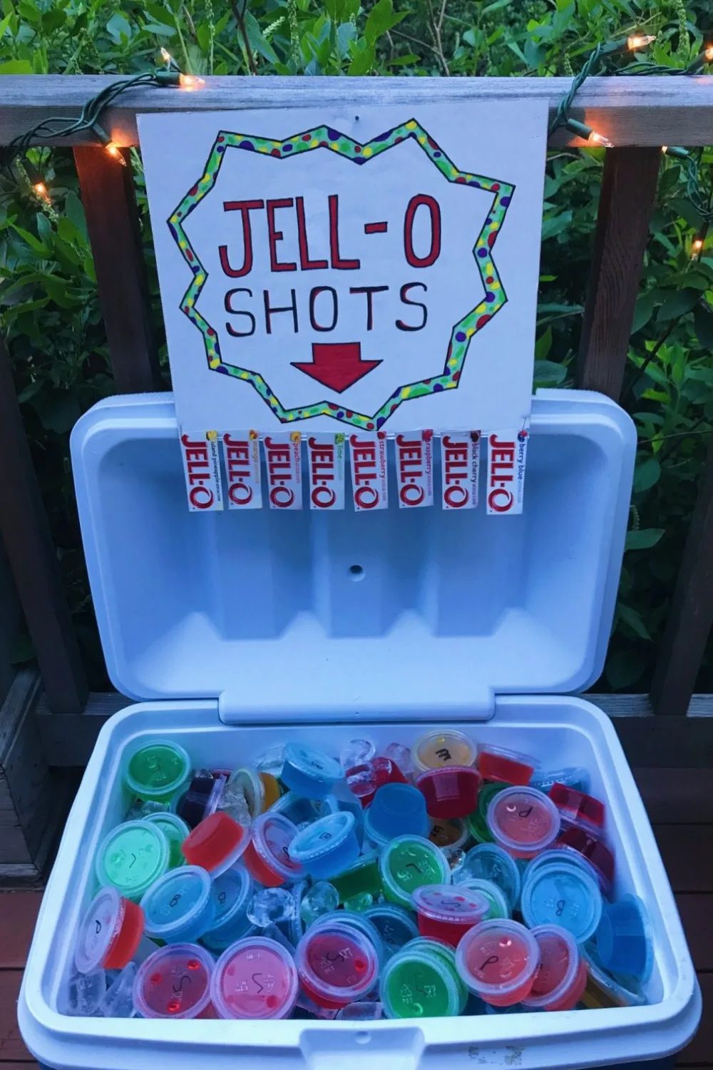 21st Birthday Party Ideas6 21st Birthday Party Ideas