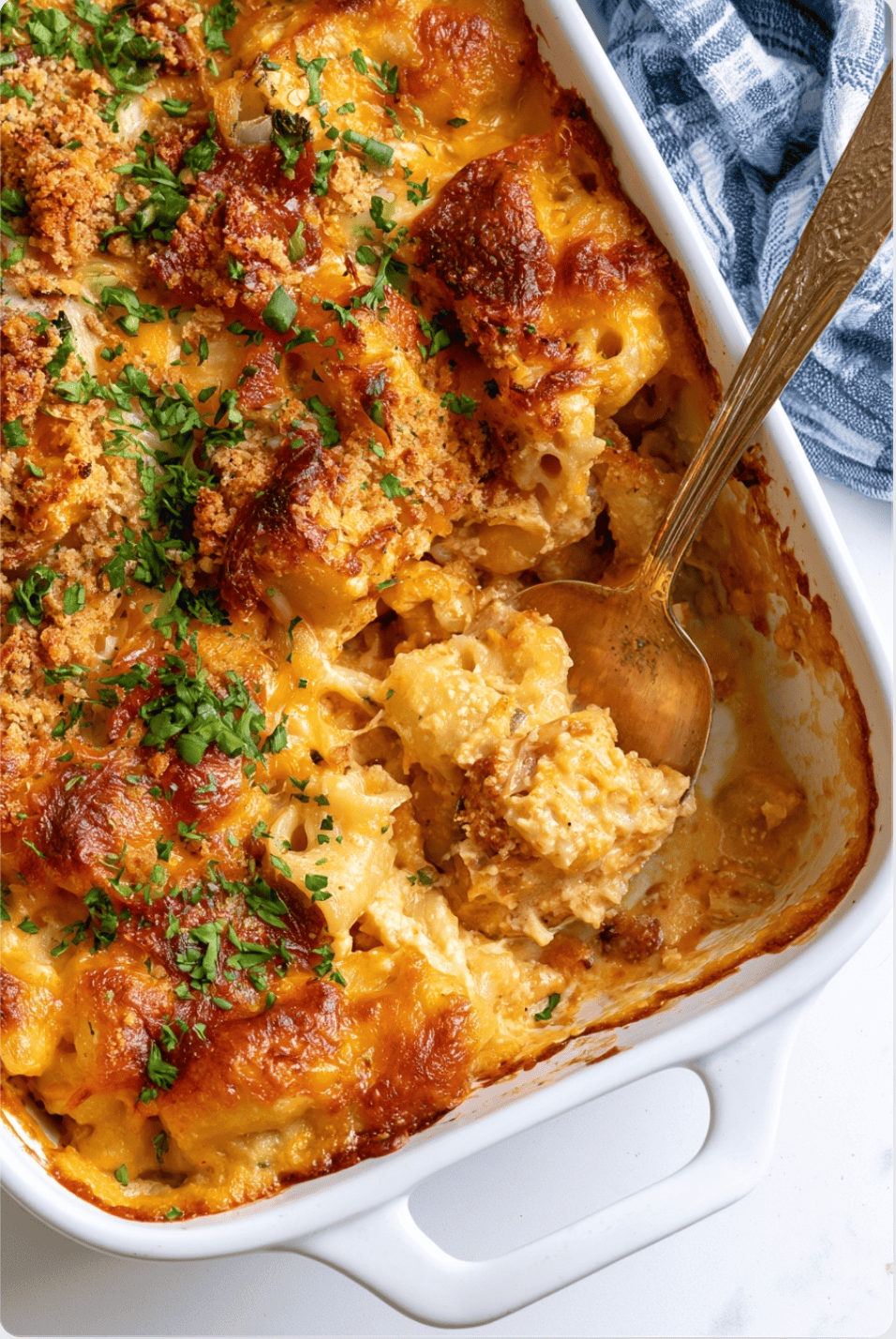Baked Mac and Cheese 8 Baked Mac and Cheese Baked Mac and Cheese4 Baked Mac and Cheese