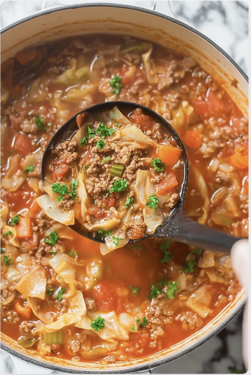 One Pot Cabbage Soup2