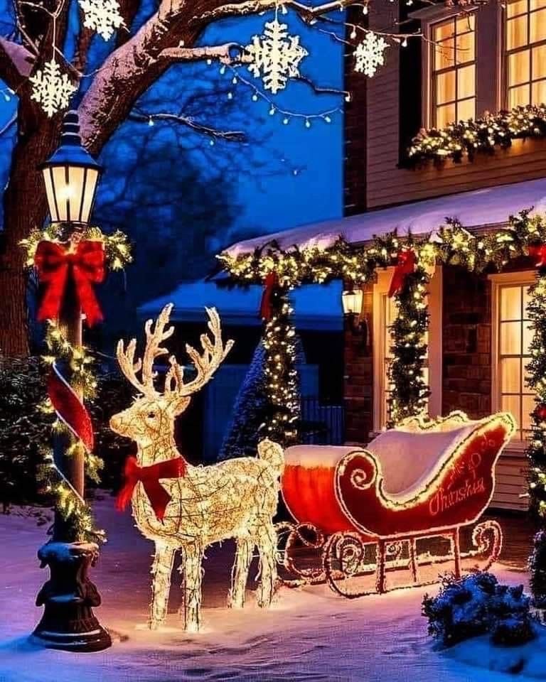 christmas outdoor light6 Christmas Outdoor Display Ideas