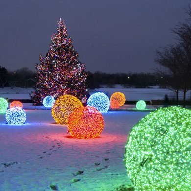 christmas outdor light display1 Christmas Outdoor Display Ideas