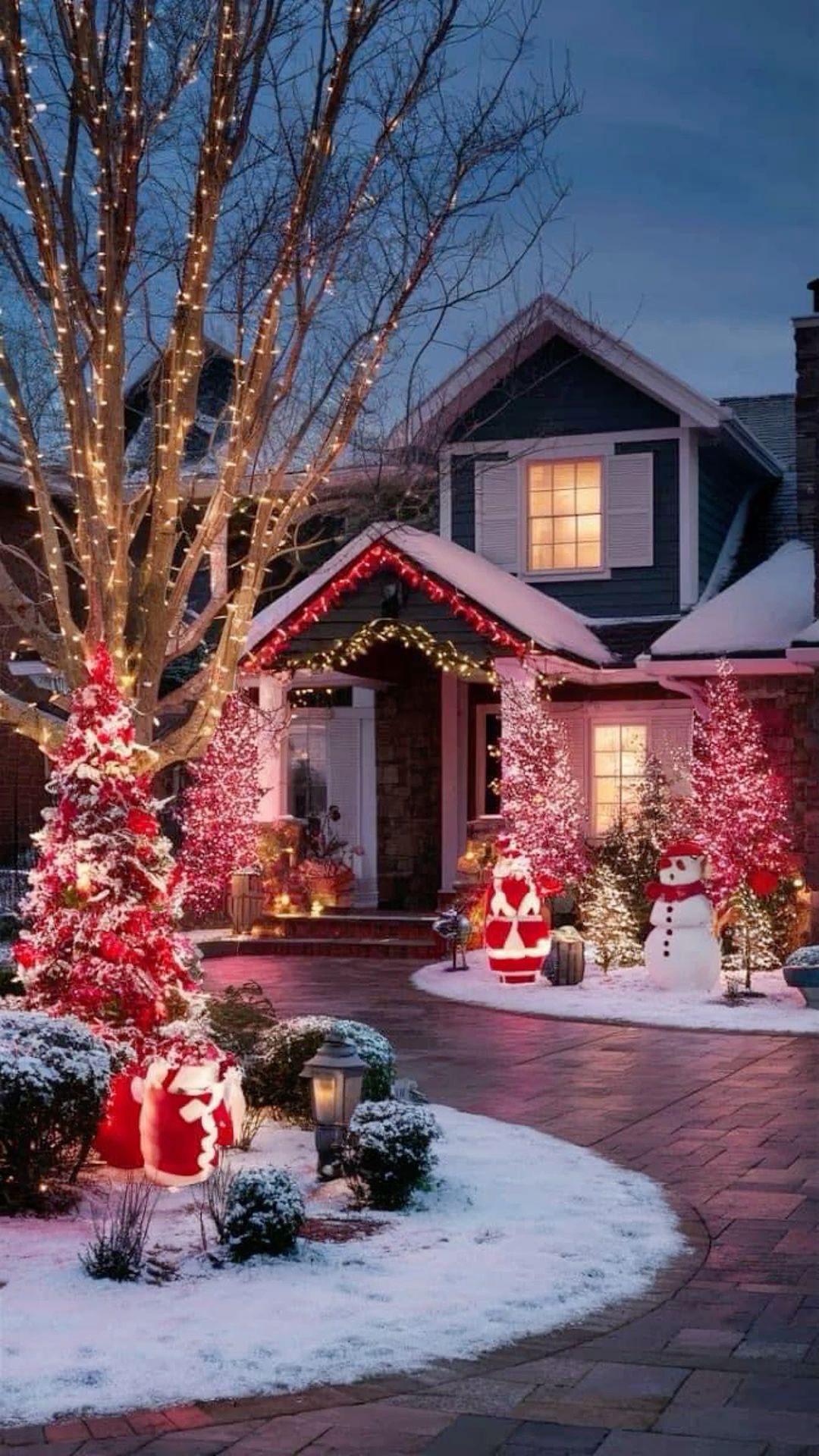 christmas outdor light display12 Christmas Outdoor Display Ideas