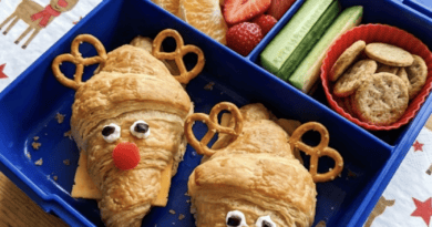 20 Creative Christmas Lunchbox Ideas For Kids