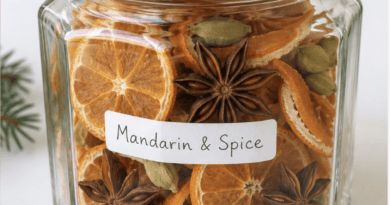 24 DIY Christmas Simmer Pot Gift Jars That Smell Like the Holidays