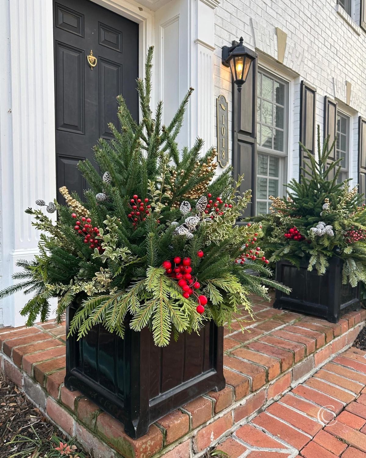Minimalist winter planter in galvanised bucket with evergreen conifers, silvery foliage and soft green branches
