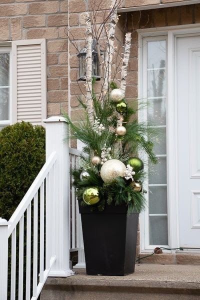 Natural Christmas planter arrangement featuring winter evergreen foliage and seasonal branches